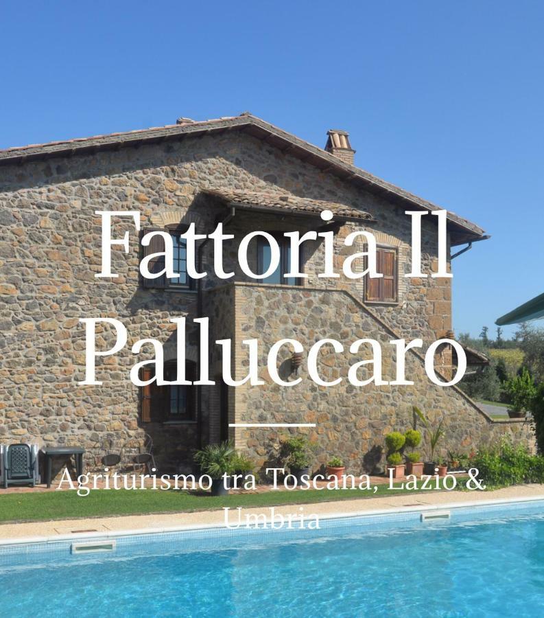 Il Palluccaro Acquapendente Extérieur photo